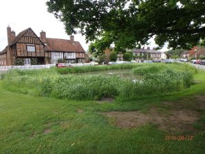 Aldbury village pond