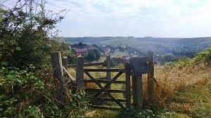 Bevendeam from South Downs