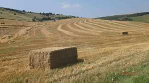 Hay bales, Standean Bottom