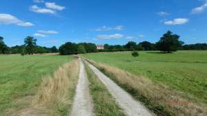 The Golden Parsonage