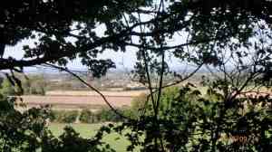 Chinnor through the trees