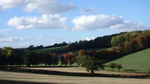 Chartridge Ashridge valley