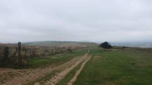 Ditchling Beacon, looking west towards Clayton