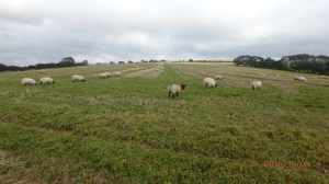 Does my bum look big in this?