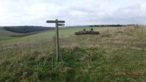 Middle Brow, Pyecombe