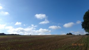 Top Common, Chipperfield