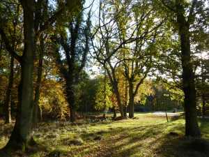 Ashridge Golf Course