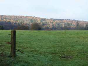 Frithsden Beaches from the Roman Road