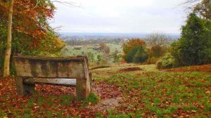 Aylesbury Vale from the Icknield Way