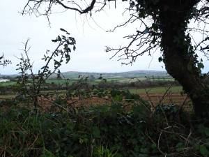 Godolph-&-Tregonning-Hills-from-Woodstock