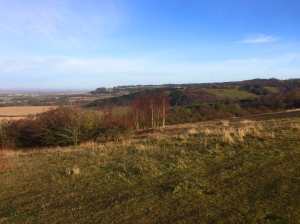 Aston Rowant Nature Reserve from Watlington Hill