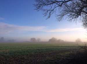 Great Hampden fields in December