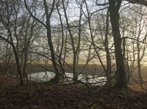 Stripped back by Winter