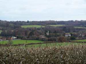 Little Missenden from Coleman's Wood
