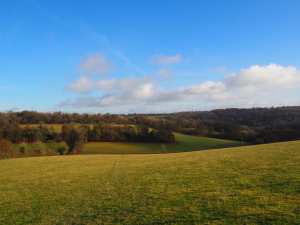 Langleygreen Plantation