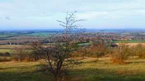 Watlington from Watlington Hill