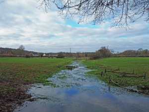 River Misbourne at Little Missenden