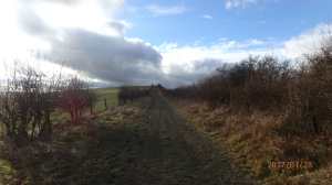 Totternhoe Knolls, late January