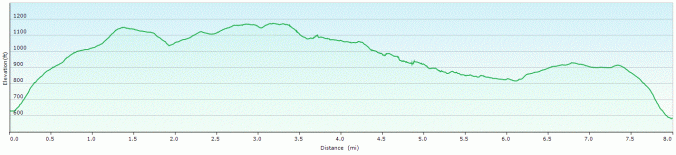 ringmoor-walk-profile