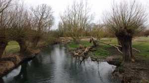River-Thame-Chearsley
