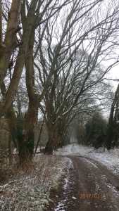 straights-plantation-swyncombe