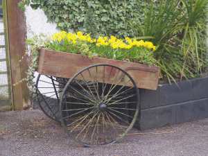 Daff cart, Lacey Green