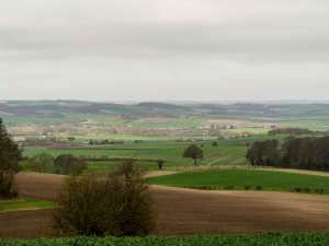 Wallingford and Oxfordshire