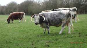 What you looking at?