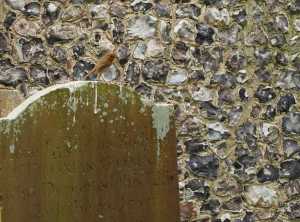 A few generations of robins have rested here