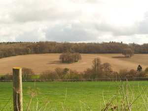 Chess Valley from Lane Wood