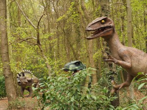 From From before time, Drayton Woodtime, Drayton Wood