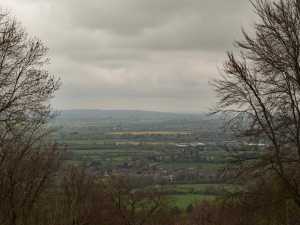 From Wendover Woods
