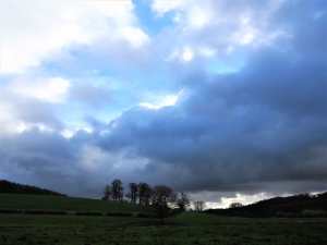 Latimer towards Chenies Bottom