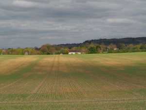 Springhill Farm, Watlington