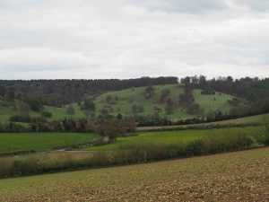 Stonor Park from Pishill, Spring '17