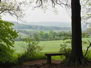 A-place-to-pause,-Wendover-Woods