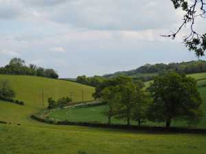 Pednor-Bottom,-Chartridge