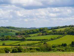 Chiltern-Way-towards-West-Wycombe