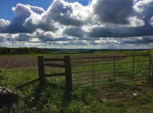 Every-cloud-has-a-silver-lining