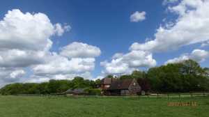 Hedgerley-Wood,-Radnage