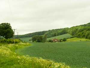 Old-Oxford-Road,-Piddington