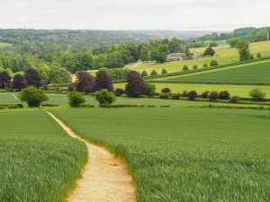 West-Wycombe-House-from-Great-Cockshoots-Wood