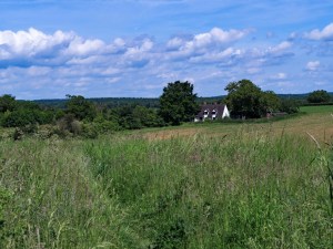Caversham-Heath,-Oxfordshire