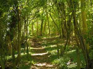 Piper's-Corner,-Hughenden-Valley