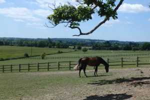 The-peaceful-Thames-valley