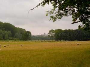 Gorhambury-estate-towards-St-Albans-cathedral