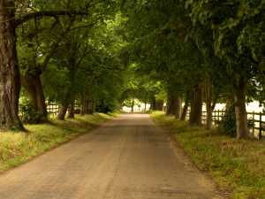 Hertfordshire-Way,-Gorhambury-Estate,-St-Albans