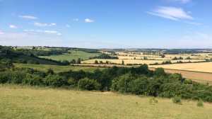 The-height-of-summer,-Sundon-Hills