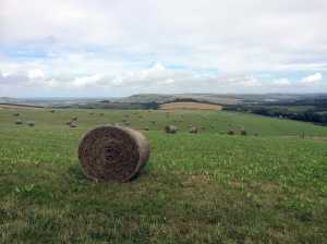 Firle-Beacon-from-Telscombe
