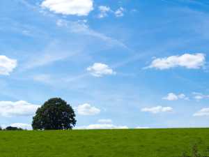 Green,-white-&amp;-blue